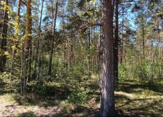Продажа участка, 6.05 сот., Псковская область, СТ Кебь, 309