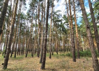 Продаю участок, 20.74 сот., Рязанская область