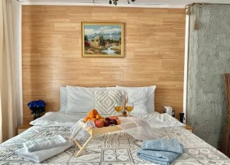 Дом в аренду, 30 м2, Теберда, улица Карла Маркса, 37Б