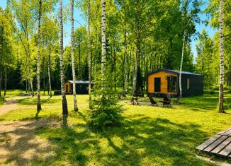 Дом на продажу, 40 м2, Ярославская область, Берёзовая улица, 4
