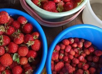Продажа земельного участка, 10 сот., садоводство Олеумщик