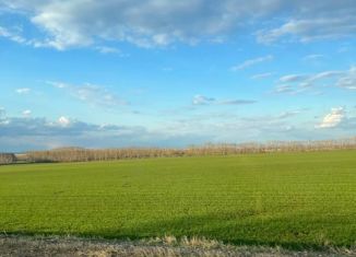 Продаю участок, 2500 сот., село Ишеево