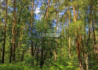 Продается участок, 685 сот., село Петрово-Дальнее