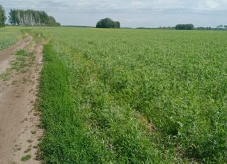 Продается участок, 1600 сот., Омская область