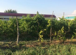 Продаю земельный участок, 20 сот., станица Октябрьская