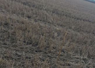 Земельный участок на продажу, 10 сот., деревня Крутые Выселки