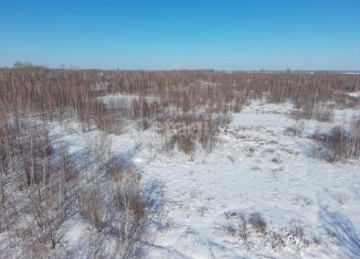 Продажа участка, 10.01 сот., село Мирное