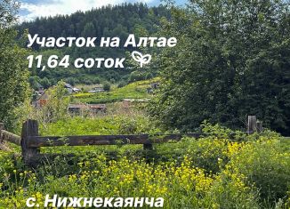 Продаю участок, 11.64 сот., село Нижнекаянча, Школьная улица, 6