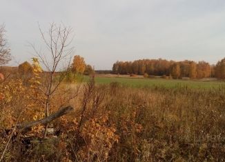 Продажа участка, 17 сот., деревня Никитино