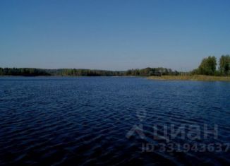 Участок на продажу, 290 сот., деревня Крутуша