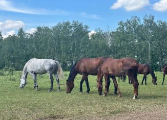 Продажа участка, 15 сот., Рязанская область