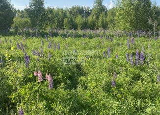 Продается земельный участок, 6 сот., СДТ Бэмз, СДТ БЭМЗ, 1066