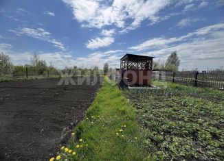Продается дача, 40 м2, Алтайский край