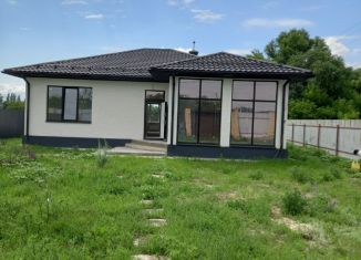 Дом на продажу, 158 м2, село Новоживотинное