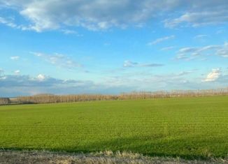 Продажа земельного участка, 5500 сот., село Ишеево