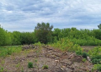Участок на продажу, 2050 сот., Алтайский край, Школьная улица, 25