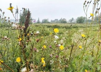 Участок на продажу, 10 сот., Омская область