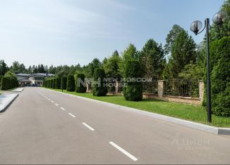 Земельный участок на продажу, 58 сот., деревня Каменка