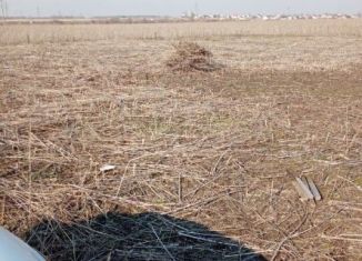 Продажа земельного участка, 10 сот., село Каширское, Центральная площадь