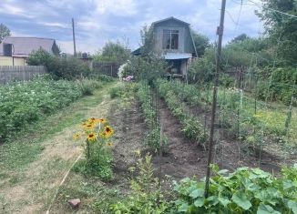 Дача на продажу, 20 м2, Алтайский край, территория Котельщик-3, 158