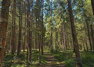 Продаю земельный участок, 90 сот., Тамбовская область