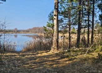 Продажа участка, 2300 сот., Новгородская область