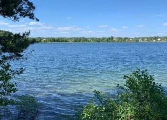 Продаю участок, 25 сот., Рязанская область, село Прудки, 32