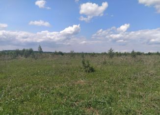 Продажа земельного участка, 155 сот., деревня Лудорвай
