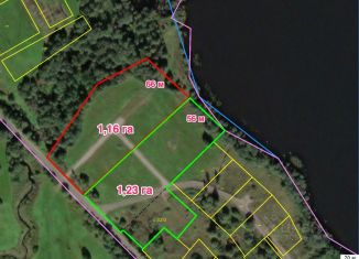 Участок на продажу, 250 сот., Новгородская область