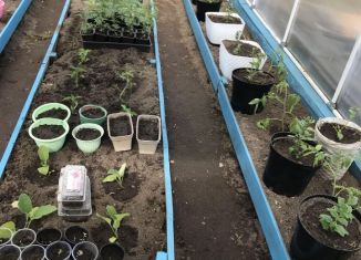 Продам земельный участок, 4 сот., Ангарск, СНТ Расцвет, 344