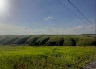 Продаю земельный участок, 7.33 сот., рабочий посёлок Городище, 7-я улица