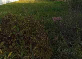 Продам участок, 10 сот., Алтайский край, улица Ленина, 99