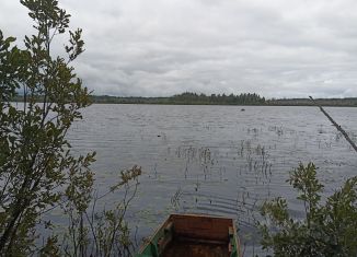 Участок на продажу, 2254 сот., Новгородская область
