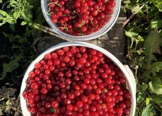 Дом на продажу, 4 м2, Салават, СНТ № 11, 461