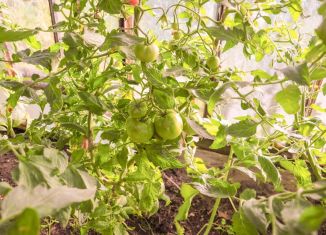 Продажа земельного участка, 5.12 сот., Верхняя Салда