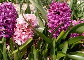 Продам земельный участок, 6 сот., Батайск, улица 26-й Проезд