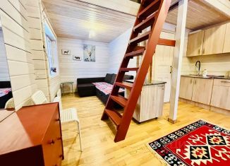 Аренда дома, 45 м2, посёлок Вуорио