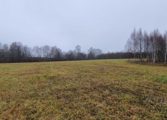 Участок на продажу, 1200 сот., деревня Нечаевские Выселки