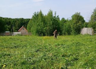 Продаю земельный участок, 15 сот., село Пыскор, улица Пушкина, 38