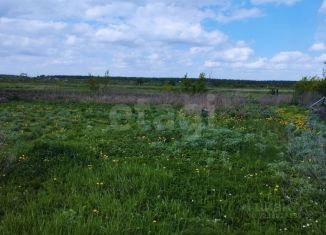 Продажа участка, 10 сот., Алтайский край