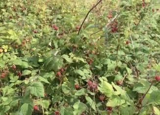 Земельный участок на продажу, 8 сот., садовые участки