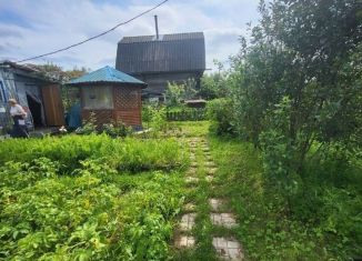Продам дом, 29 м2, Ленинградская область, квартал 6А, 41