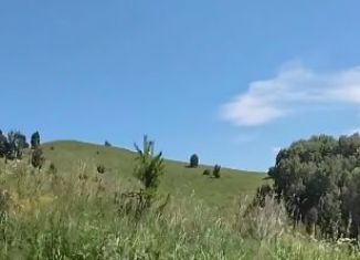 Продам участок, 2700 сот., Алтайский край