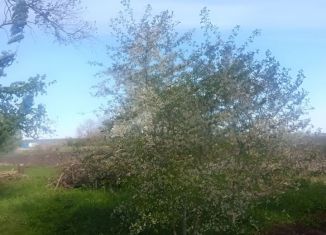 Земельный участок на продажу, 11 сот., село Донское