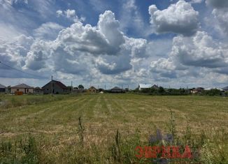Продам земельный участок, 13.9 сот., село Экономическое