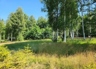 Участок на продажу, 170 сот., Ленинградская область