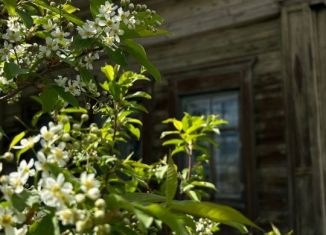 Дом на продажу, 39 м2, Томская область, улица Равенства, 1
