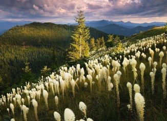Продается участок, 10 сот., село Ступино