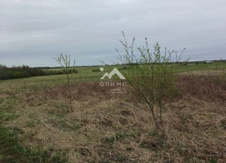 Земельный участок на продажу, 19.96 сот., поселок Надеево, Центральная улица
