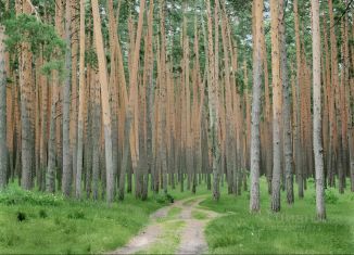 Продаю участок, 15 сот., посёлок Тригуляй, посёлок Тригуляй, 126А